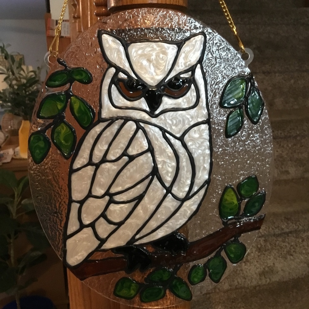 Hand Painted Stained Glass Snowy Owl on 8 X 10 Acrylic oval - Picture 3 of 3